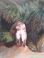 /album/fauna-delle-nostre-zone/image-5-jpg6/