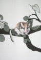 /album/fauna-delle-nostre-zone/image-63-jpg2/
