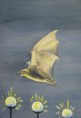 /album/fauna-delle-nostre-zone/image-84-jpg/