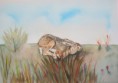 /album/fauna-delle-nostre-zone/image-60-jpg/
